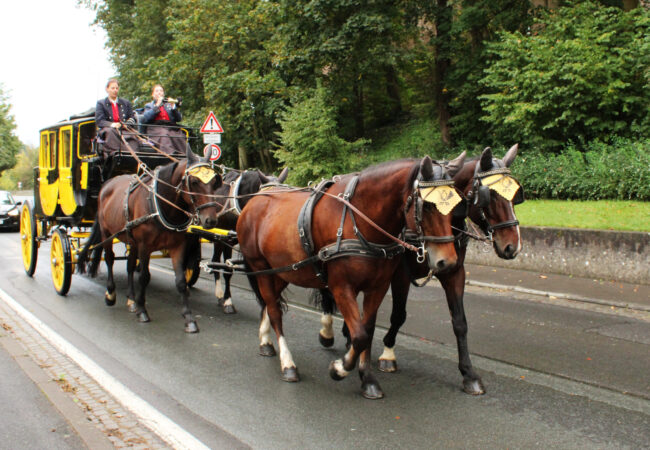 Prima Klima für die Sommerfrische