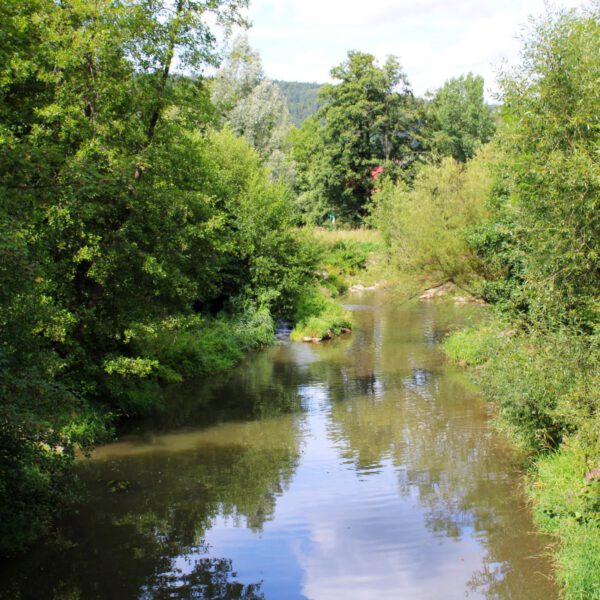 Die Saale fließt durch Roth und zeigt sich auf natürliche Weise.