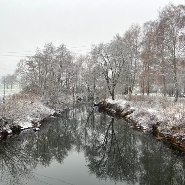 Die Saale im Winter