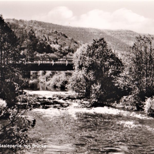 Saalepartie mit Brücke