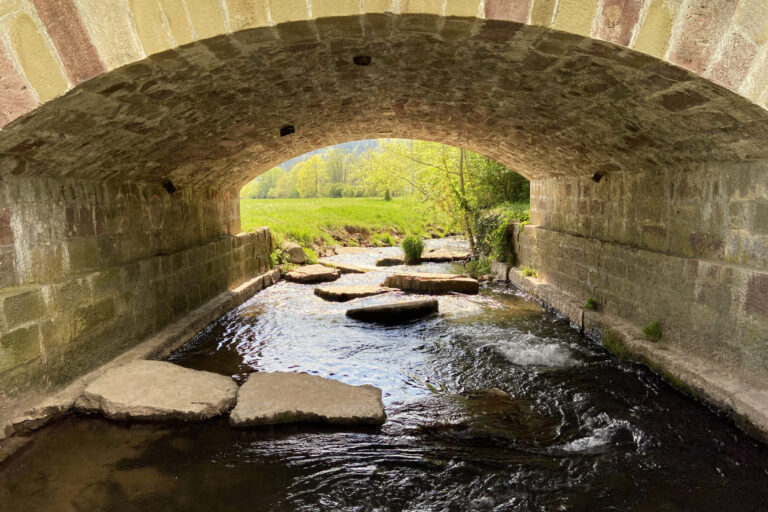 Die Saale fließt nicht immer so friedlich. 1909 führte ein Hochwasser dazu, dass die wunderschönen Brückenbögen fast gänzlich im Wasser verschwanden.