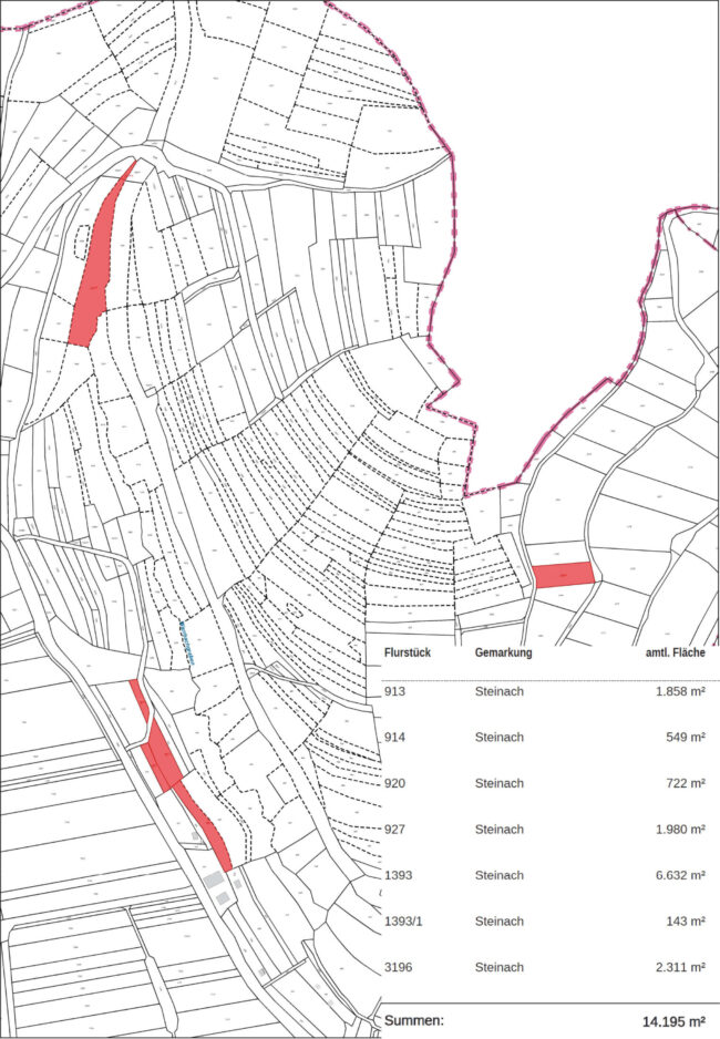 Steinach – Waldgrundstücke Foto